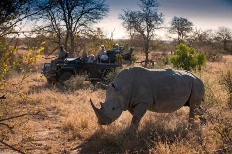 5-Day Luxury Timbavati Rockfig Safari Lodge